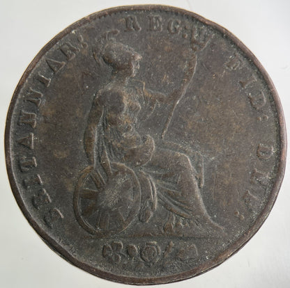 1853 Victoria Half - Penny Coin | Collectable Grade