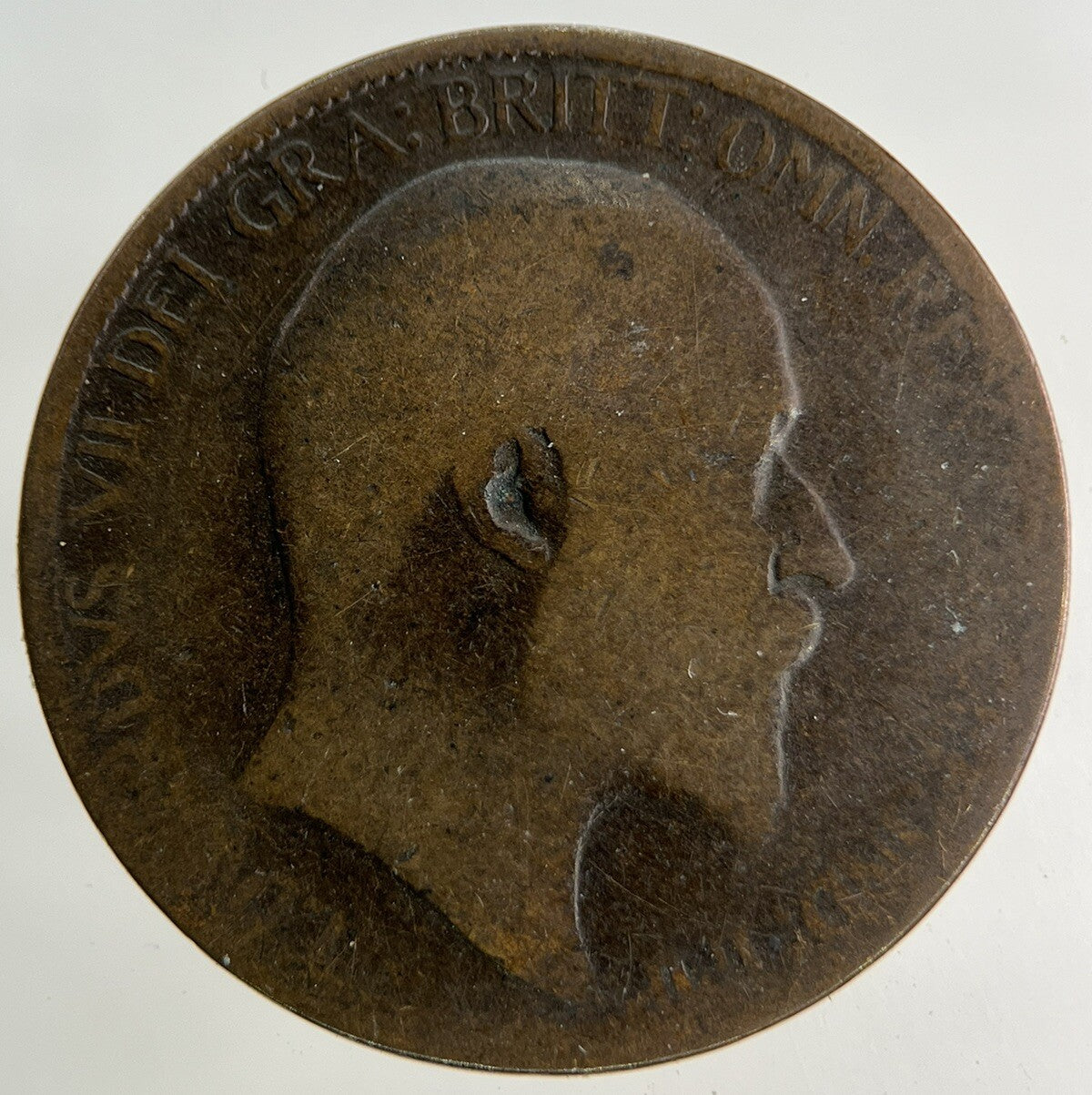 1903 Edward VII Half - Penny Coin | Collectable Grade