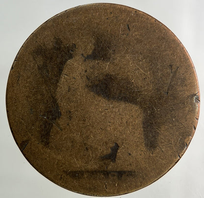 1886 Victoria Half - Penny Coin | Worn Grade