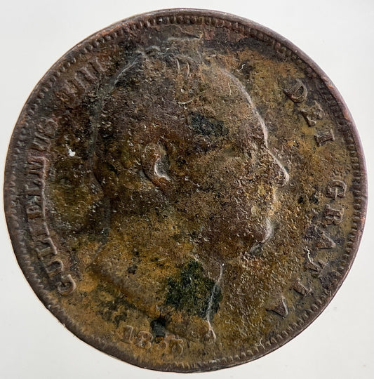 1835 William IV Farthing | Collectable Grade