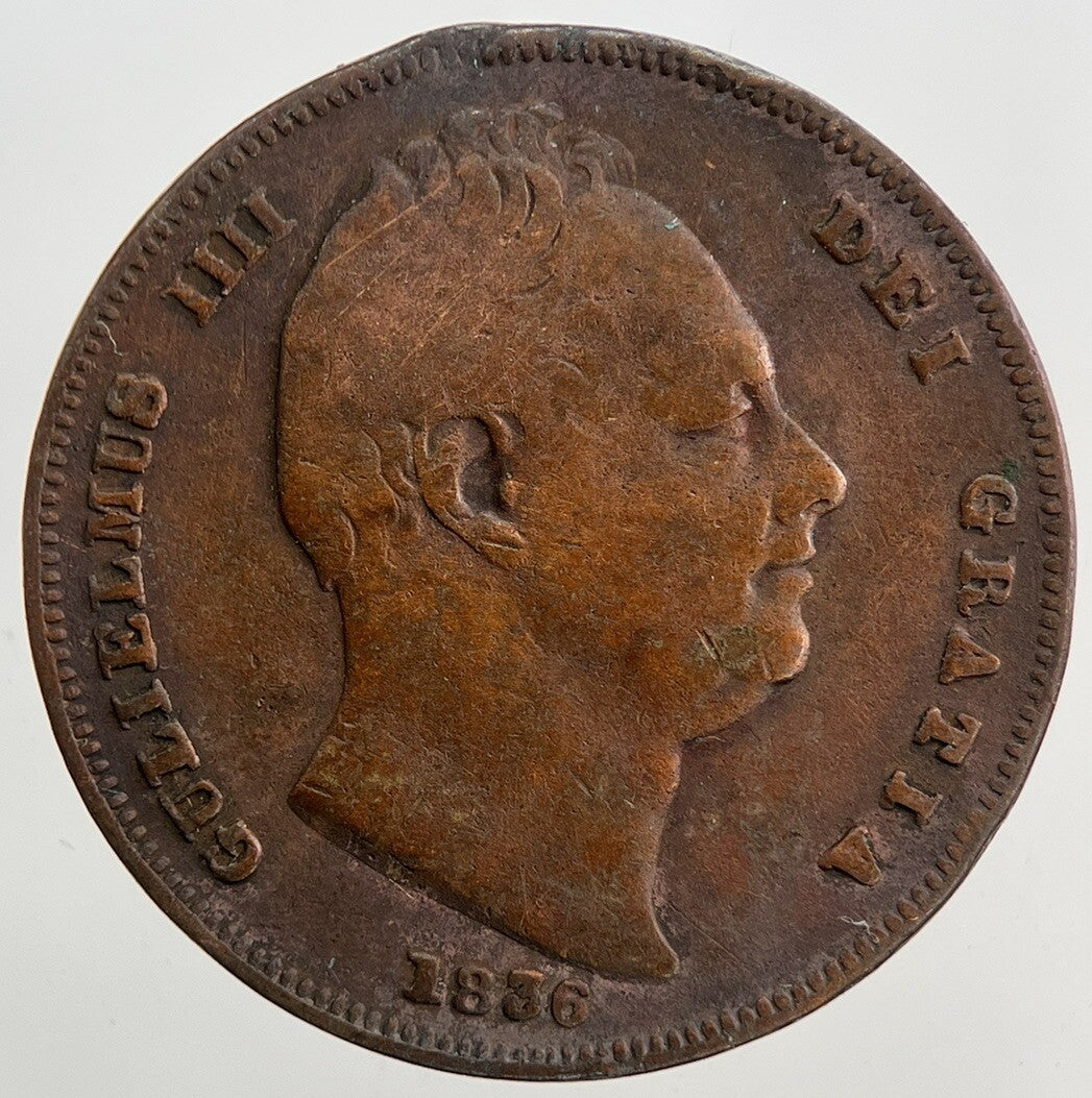 1836 William IV Farthing | Fine Collectable Grade