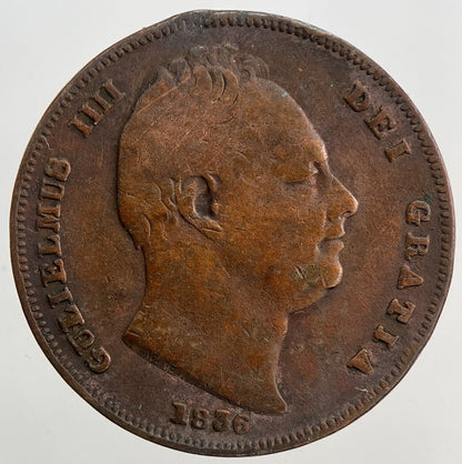 1836 William IV Farthing | Fine Collectable Grade