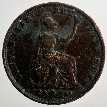 1834 William IV Farthing | Collectable Grade