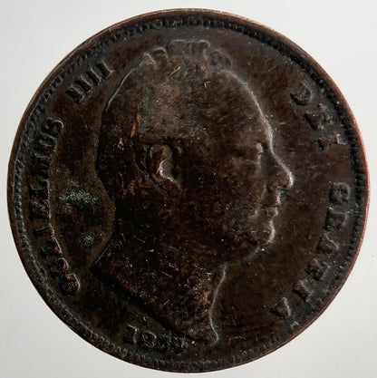 1834 William IV Farthing | Collectable Grade