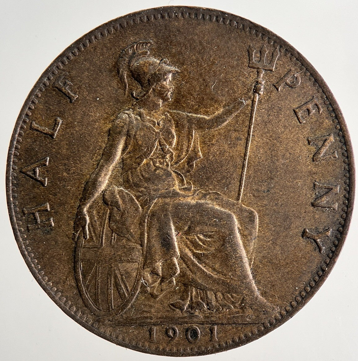 1901 Victoria Half-Penny Coin | Very Fine Grade | a9644