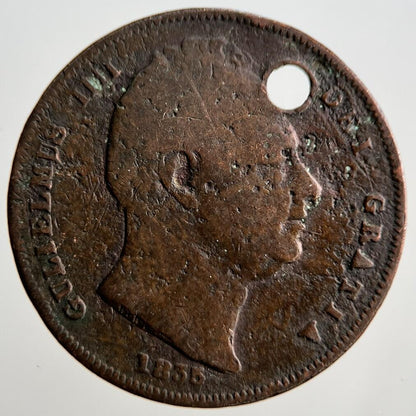 1835 William IV Farthing Coin | Collectable Grade