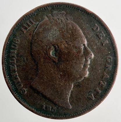 1835 William IV Farthing | Fine Collectable Grade | a9725