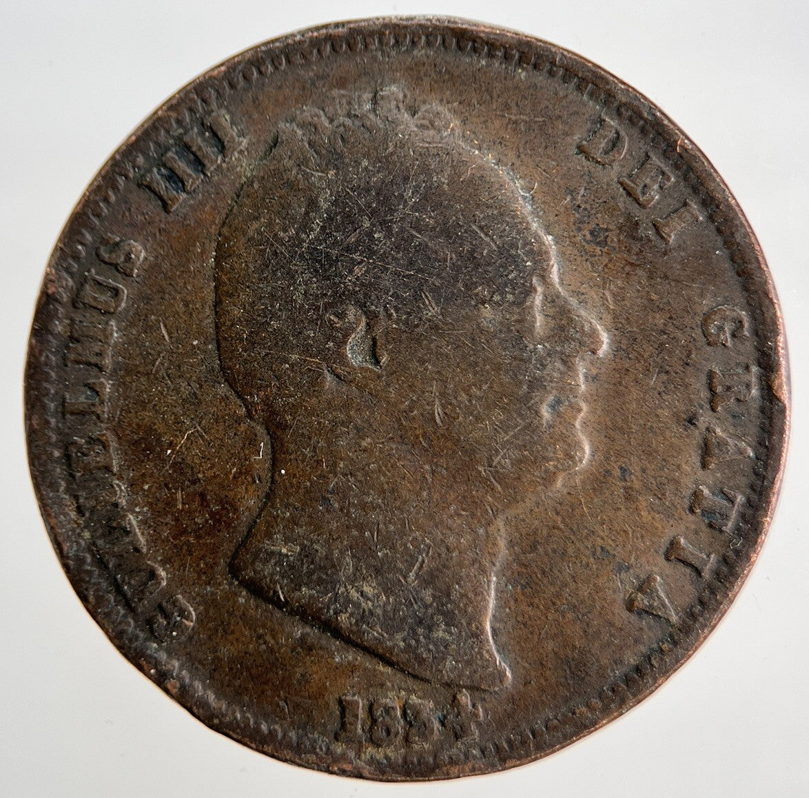 1834 William IV Half-Penny Coin | British Coin | Collectable Grade | a1841