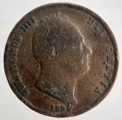 1834 William IV Half-Penny Coin | British Coin | Collectable Grade | a1841