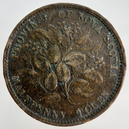 1856 Victoria Province of Nova Scotia Half-Penny Token | Collectable Grade a1856