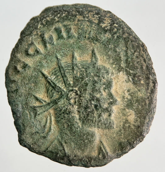 Roman Empire Claudius Gothicus Bronze Coin | Collectable Grade | a1869