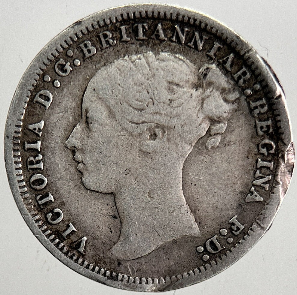 1873 Victoria Threepence Silver Coin | Collectable Grade | a5330
