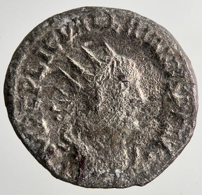 Ancient Denarius Roman Silver Coin | Collectable Grade | a6961