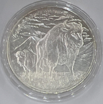 2016 The Buffalo Hunter 1oz Silver Coin | Comes in Capsule