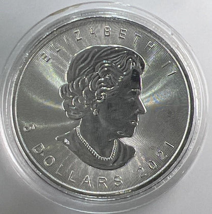2021 Maple Leaf Colourised Reindeer 1oz Silver Coin | Comes In Capsule