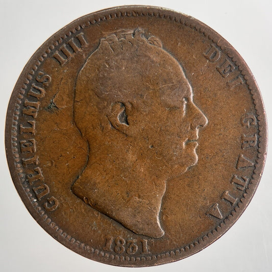 1831 William IV Half-Penny Coin | Fine Collectable Grade | a9052