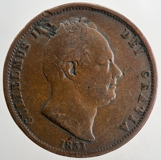1831 William IV Half-Penny Coin | Fine Collectable Grade | a9437