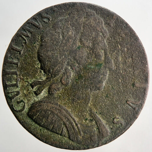 1694 William III 3rd Half-Penny Coin | Collectable Grade