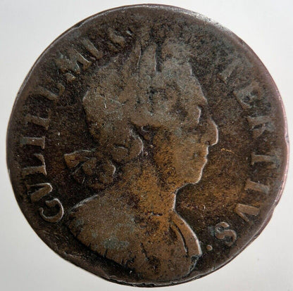 1699 William III 3rd Half-Penny Coin | Collectable Grade