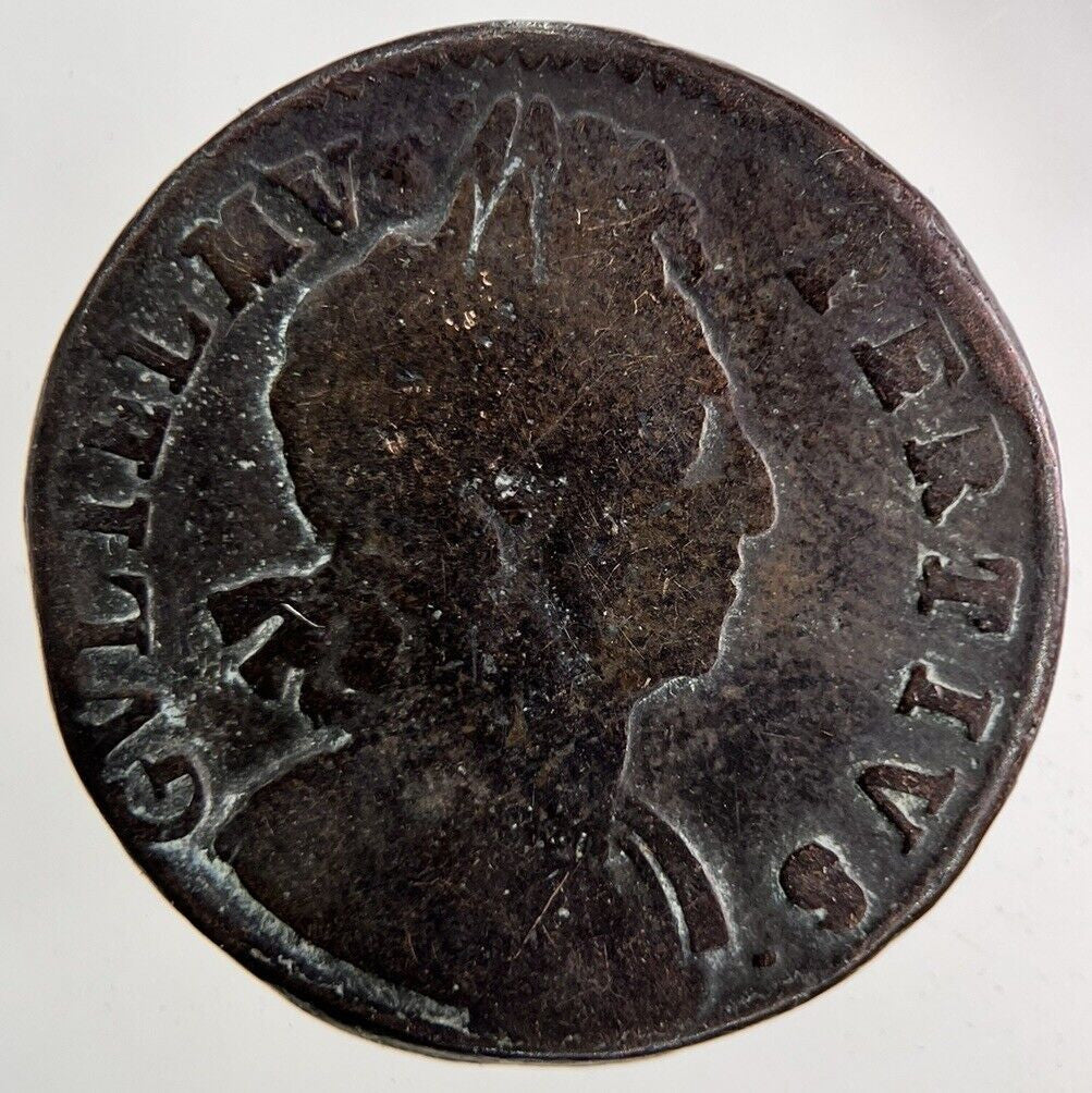 1700 William III 3rd Half-Penny Coin | Collectable Grade