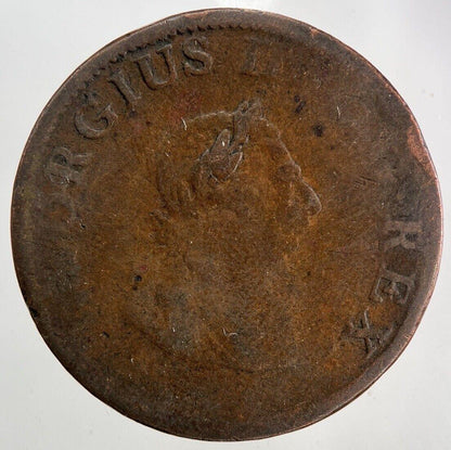 1805 Irish Hibernia Half-Penny Coin | Collectable Grade