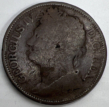 1823 George IV Hibernia Penny | Irish Coin | Collectable Grade | a1157