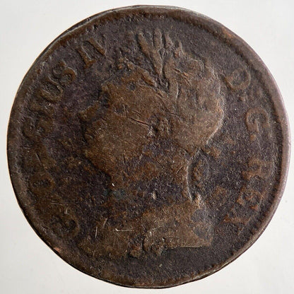 1822 George IV Irish Hibernia Half-Penny Coin | Fine Collectable Grade | a9487