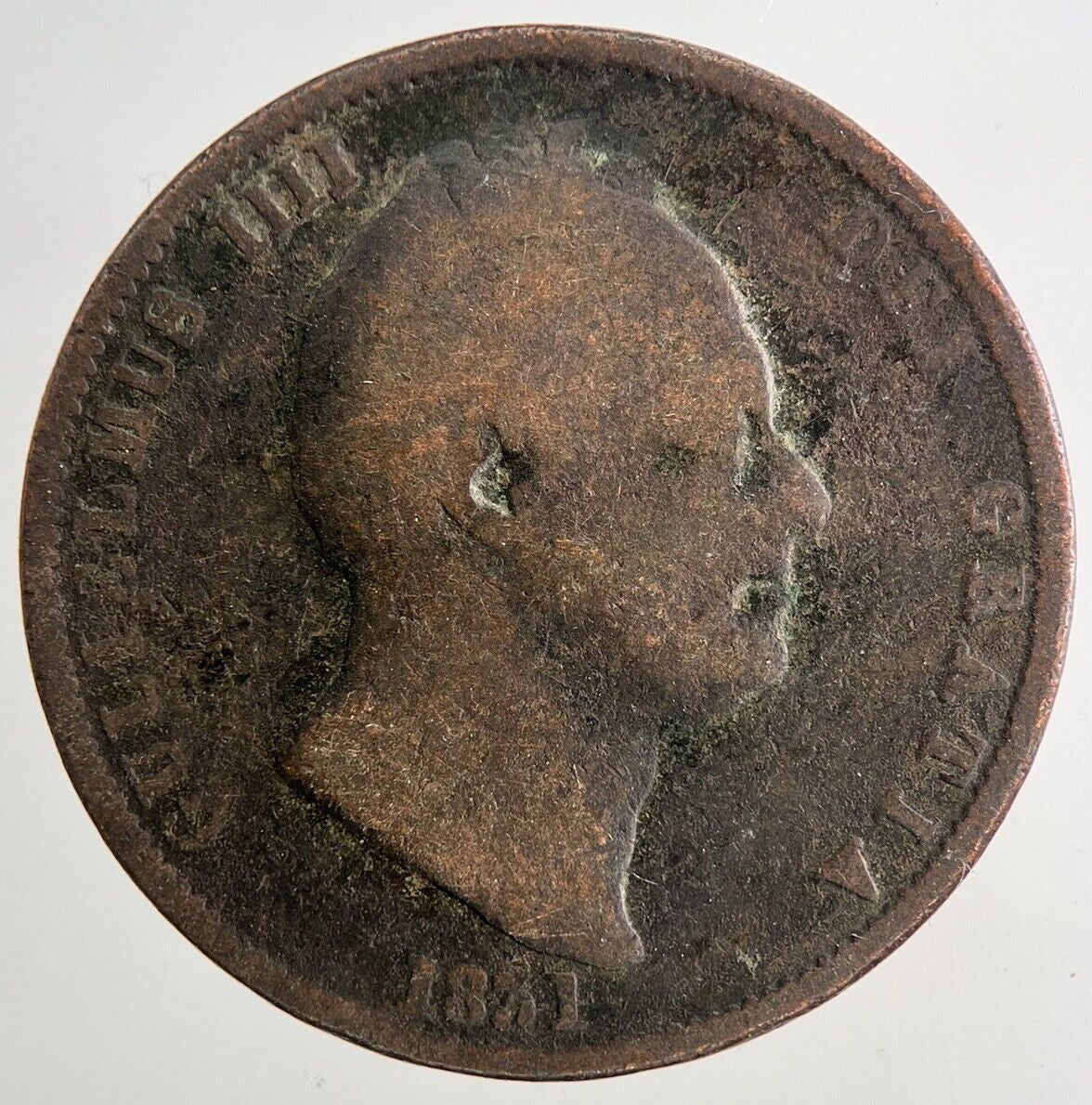 1831 William IV Half-Penny Coin | Collectable Grade