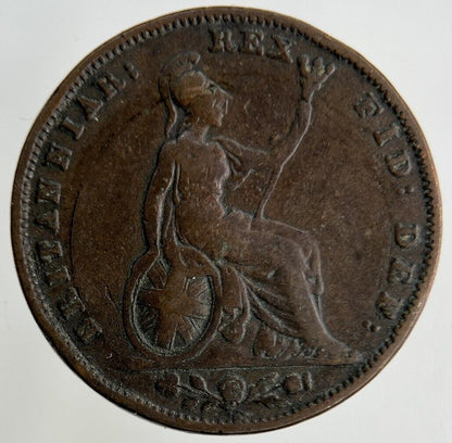 1831 William IV Farthing Coin | Fine Collectable Grade