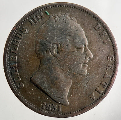 1831 William IV Half-Penny Coin | Collectable Grade