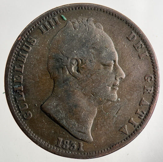 1831 William IV Half-Penny Coin | Collectable Grade