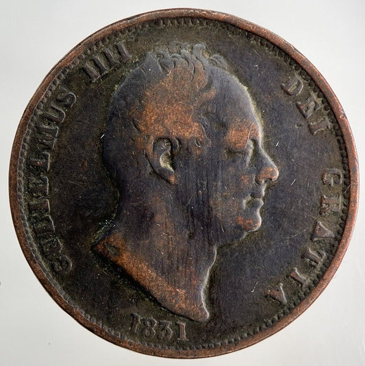 1831 William IV Half-Penny Coin | Collectable Grade