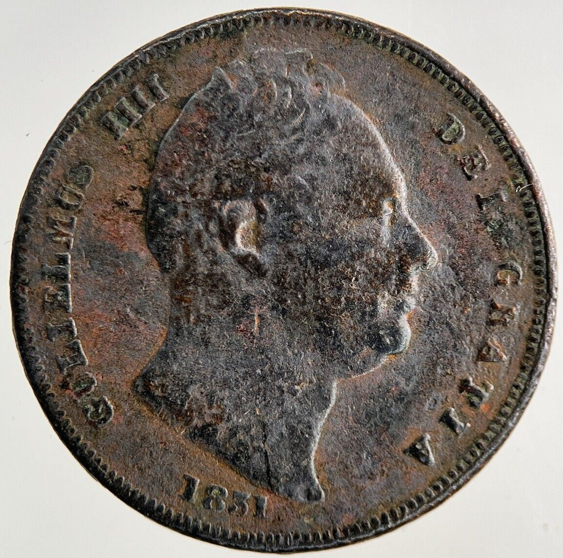1831 William IV Farthing Coin | Collectable Grade