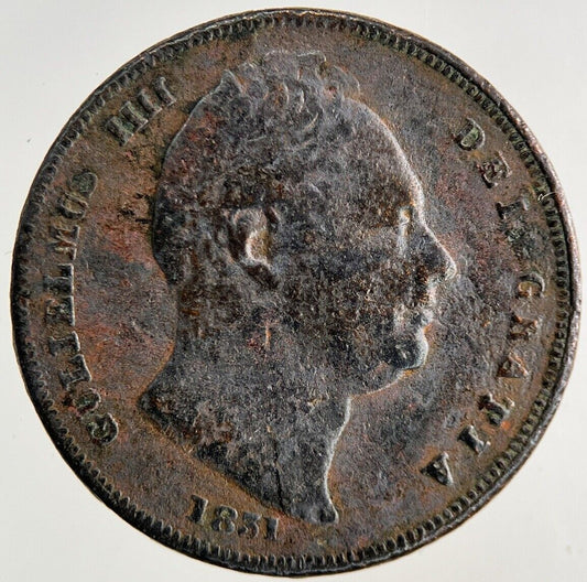 1831 William IV Farthing Coin | Collectable Grade