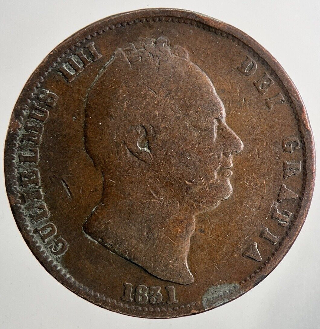 1831 William IV Half-Penny Coin | Fine Collectable Grade | a9467