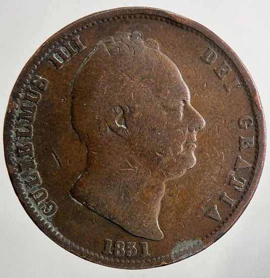 1831 William IV Half-Penny Coin | Fine Collectable Grade | a9467