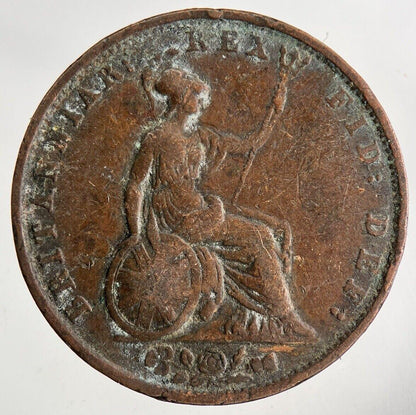 1831 William IV Half-Penny Coin | Fine Collectable Grade