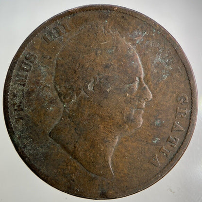 1831 William IV One Penny Coin | Collectable Grade