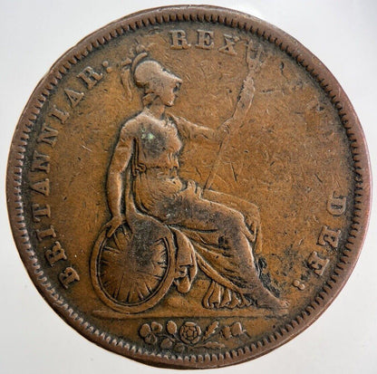 1831 William IV One Penny Coin | Fine Collectable Grade