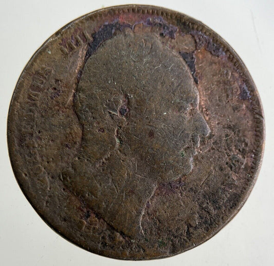 1834 William IV Farthing Coin | Collectable Grade