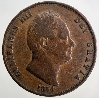 1834 William IV Half-Penny Coin | Fine Collectable Grade