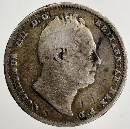 1834 William IV Sixpence Silver Coin | Collectable Grade