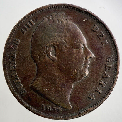 1835 William IV Farthing Coin | Collectable Grade