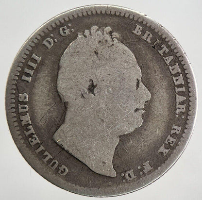 1836 William IV Shilling Silver Coin | Collectable Grade