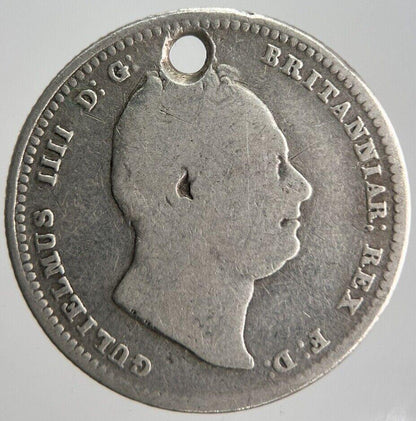 1836 William IV Shilling Silver Coin | Collectable Grade | a4493