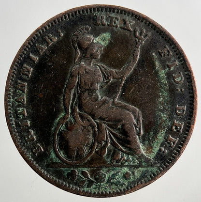 1836 William IV Farthing Coin | Collectable Grade
