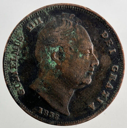 1836 William IV Farthing Coin | Collectable Grade