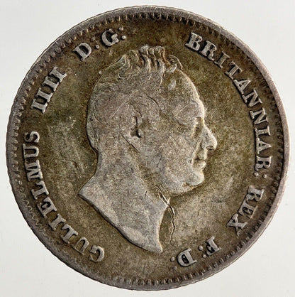 1836 William IV Groat Four-Pence Silver Coin | Fine Collectable Grade