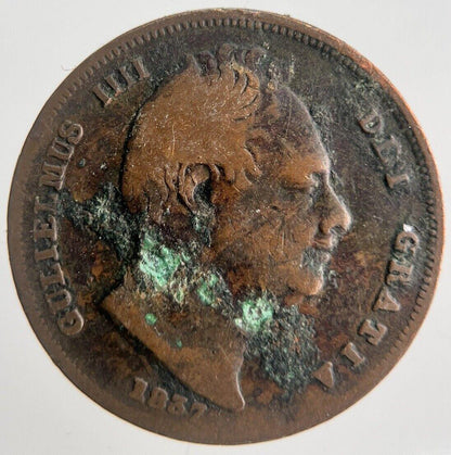 1837 William IV Farthing Coin | Collectable Grade | a4483