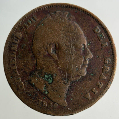 1837 William IV Farthing Coin | Collectable Grade